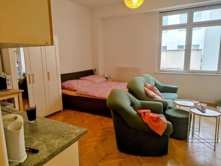 Cosy Warm Apartment In The Heart Of Prague. Esterno foto